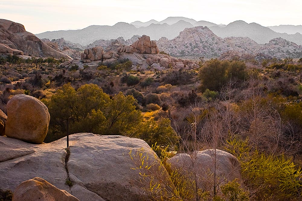 Joshua Tree National Park Ausblick