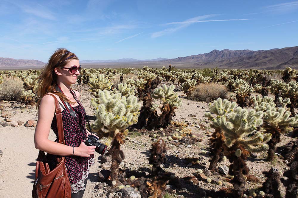 Im Cholla Cactus Garden