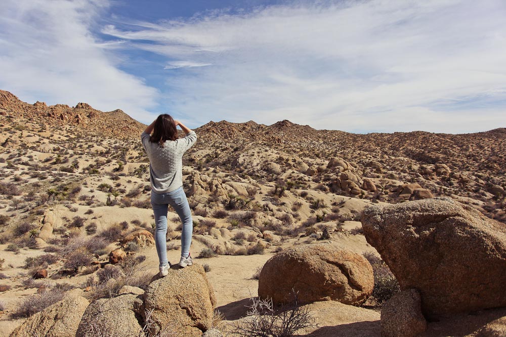 Joshua Tree National Park Aussicht