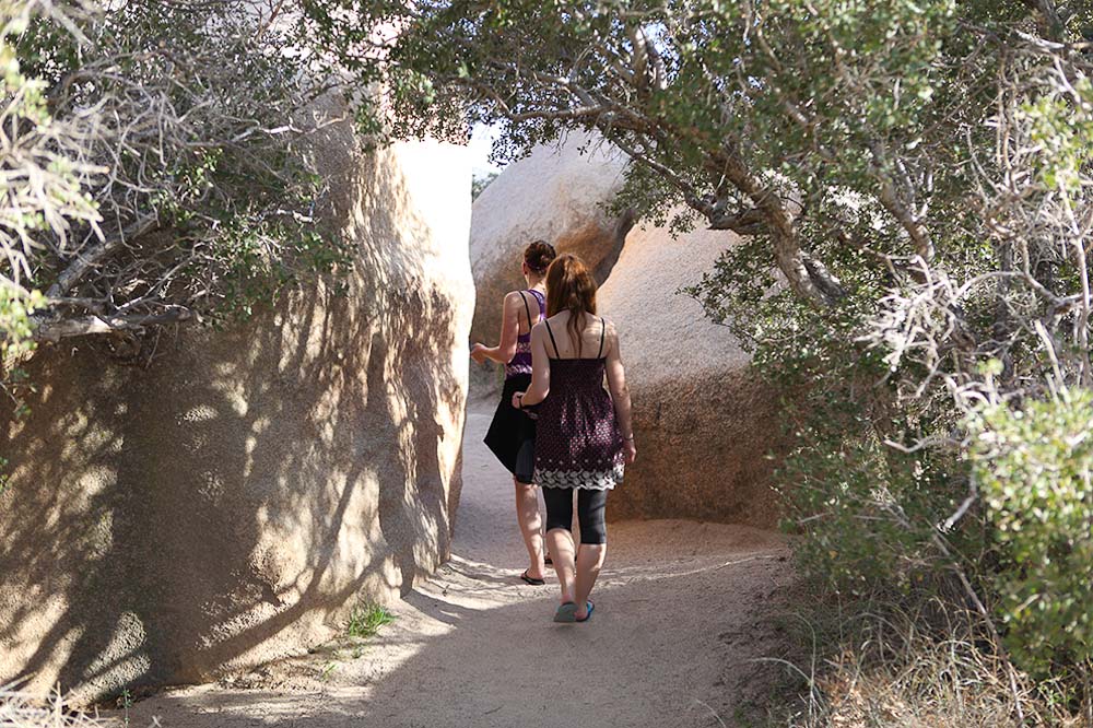 Hiking Trails im Joshua Tree National Park