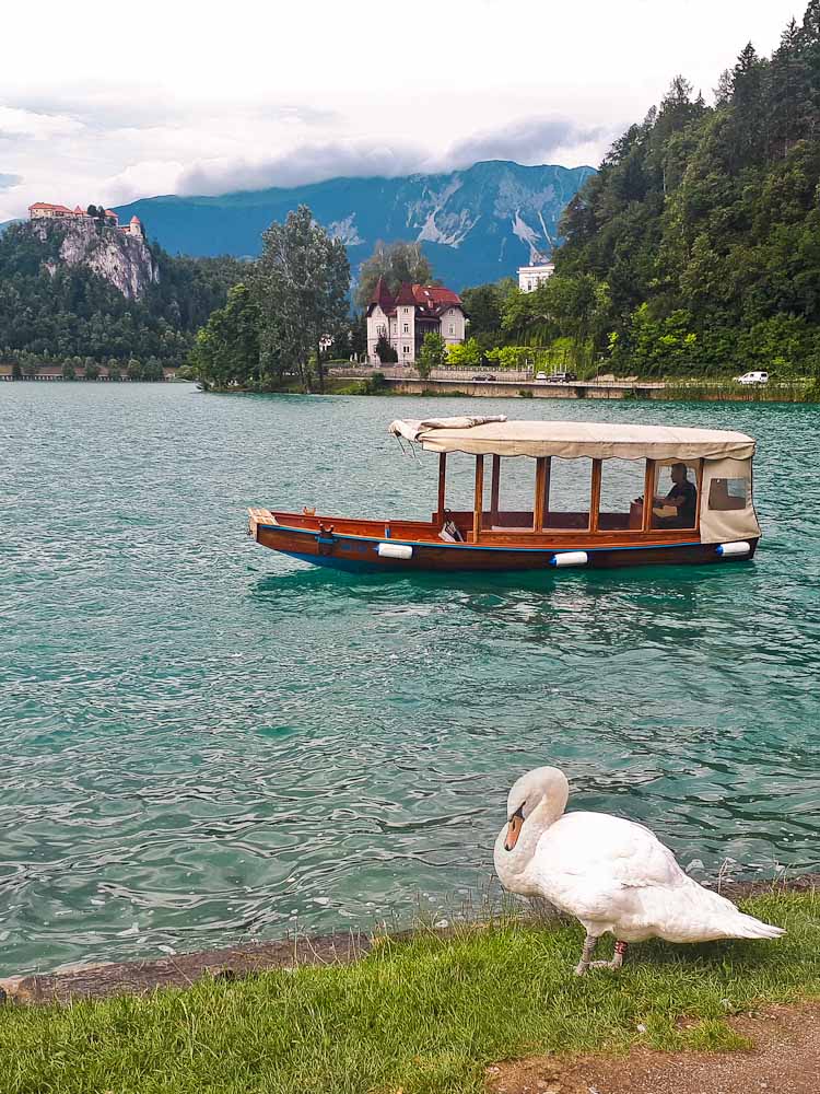 Bleder See und Burg Bled