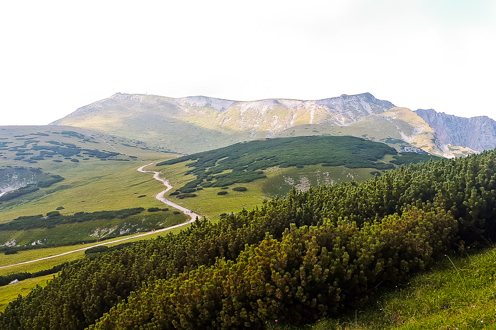 Schneeberg Klosterwappen Paradies der Blicke