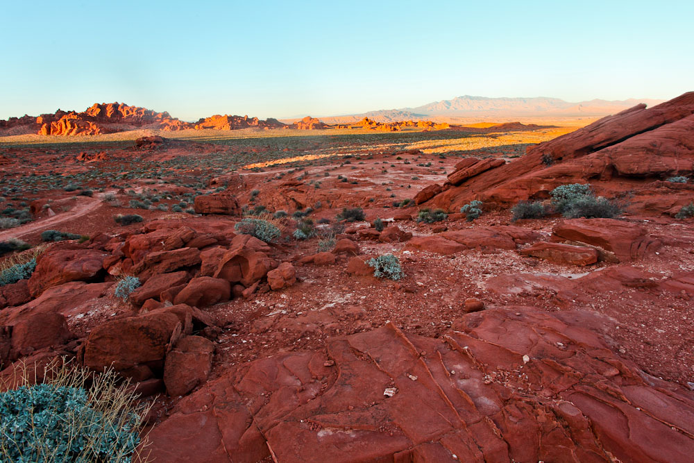 Am Elephant Rock Trail im Valley of Fire