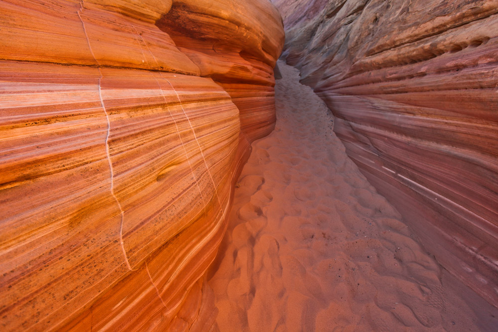 Pink Canyon im Valley of Fire