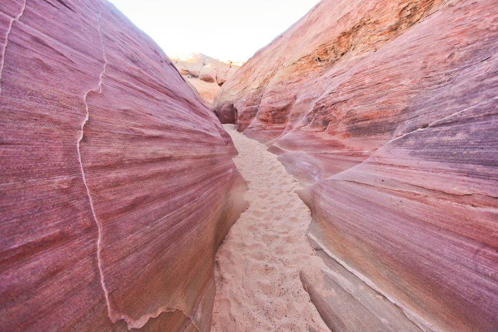 Der Pink Canyon im Valley of Fire