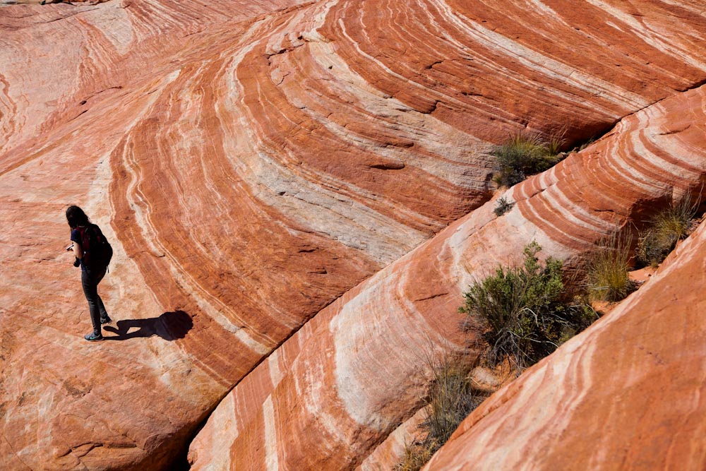 Fire Wave im Valley of Fire