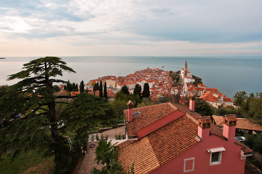 Piran Slowenin Aussicht Stadtmauer