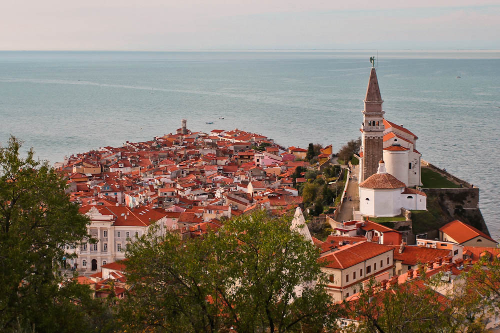 Blick auf die Altstadt Pirans