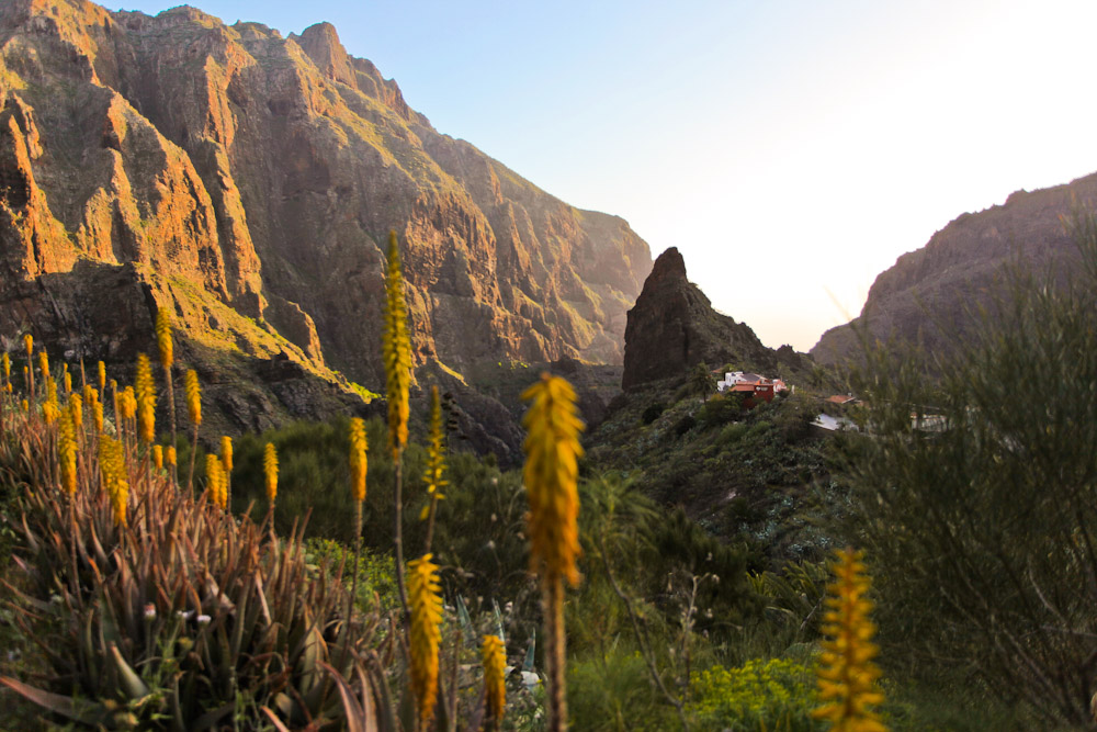 Bergdorf Masca Teneriffa Highlights 