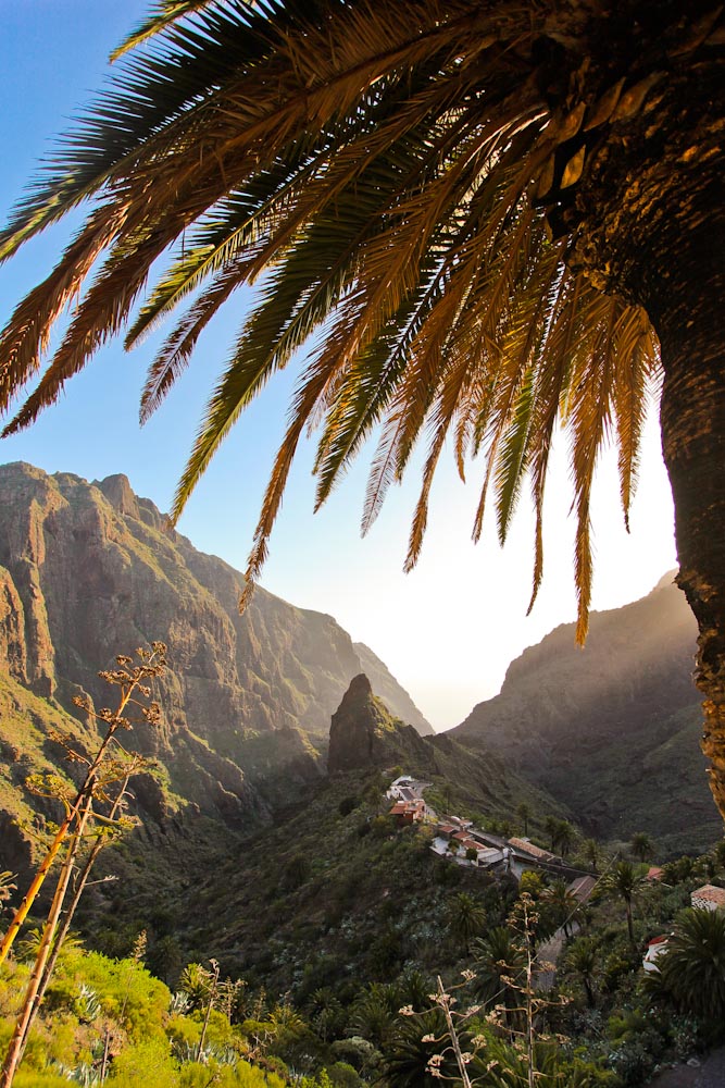 Masca Teneriffa