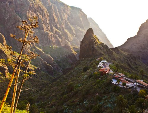 Fahrt durch die Masca Schlucht auf Teneriffa