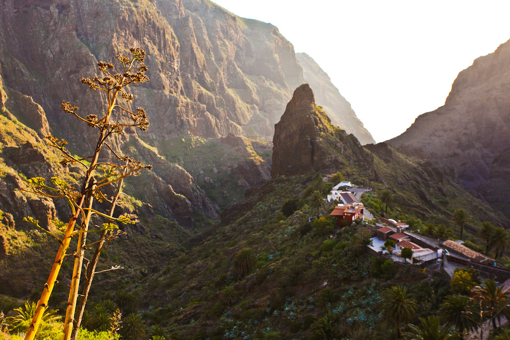 Fahrt durch die Masca Schlucht auf Teneriffa