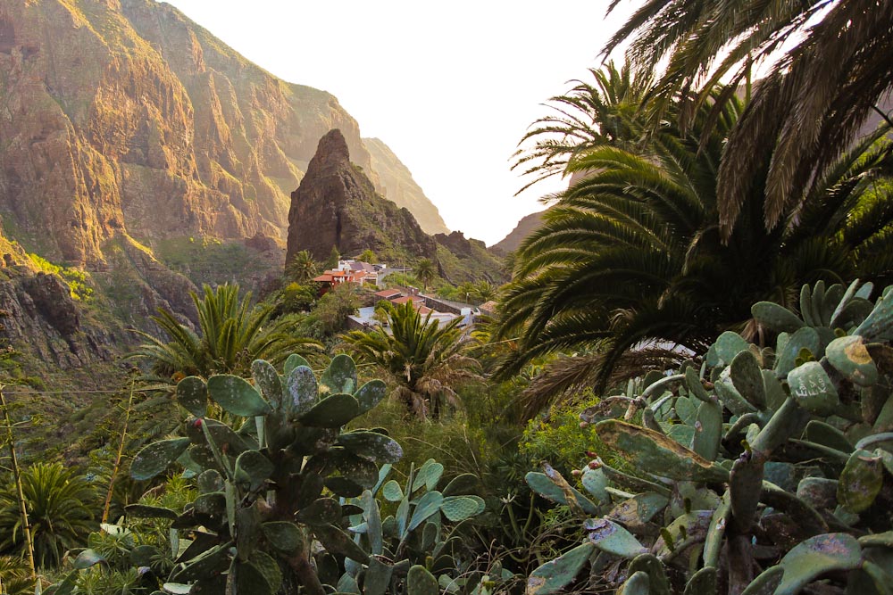 Masca Schlucht Teneriffa