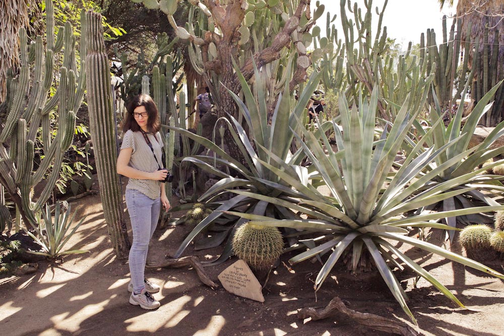 Palm Springs Ausflugstipp Der Moorten Botanical Garden