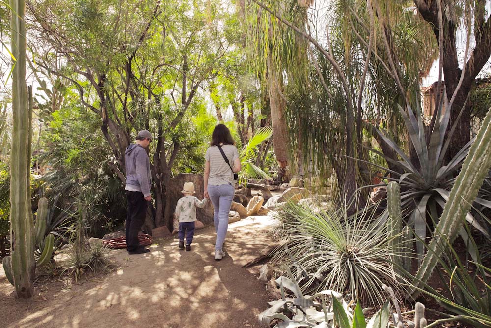 Palm Springs mit Kind: Moorten Botanical Garden