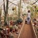 Palm Springs mit Kind Moorten Botanical Garden