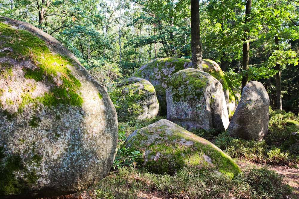 Naturpark Blockheide Gmünd