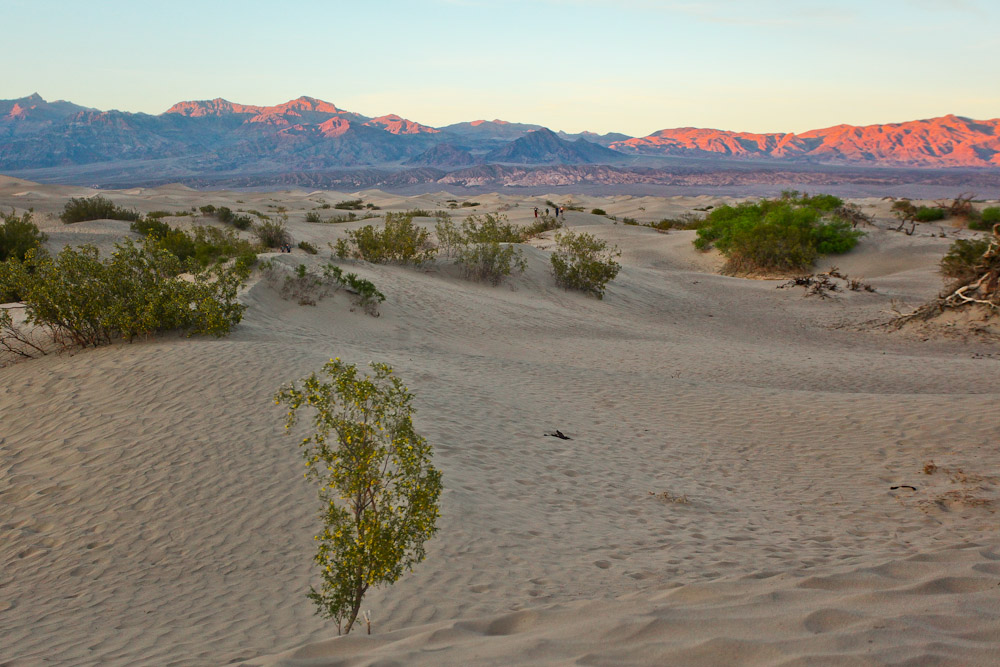 Mesquite Flat Sand Dunes