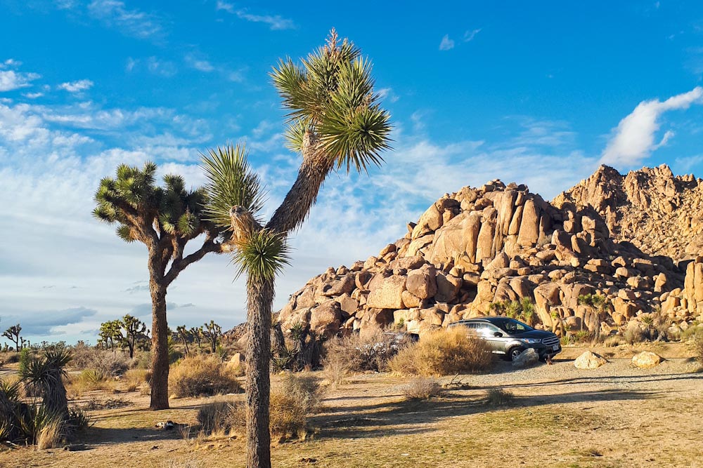 USA Südwesten Nationalparks: der Joshua Tree Nationalpark