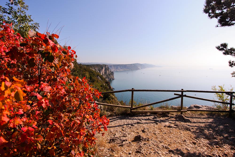 Triest wandern: am Rilkeweg 