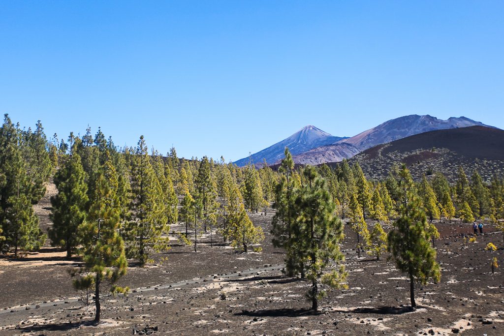 Teneriffa Highlights: Teide Nationalpark