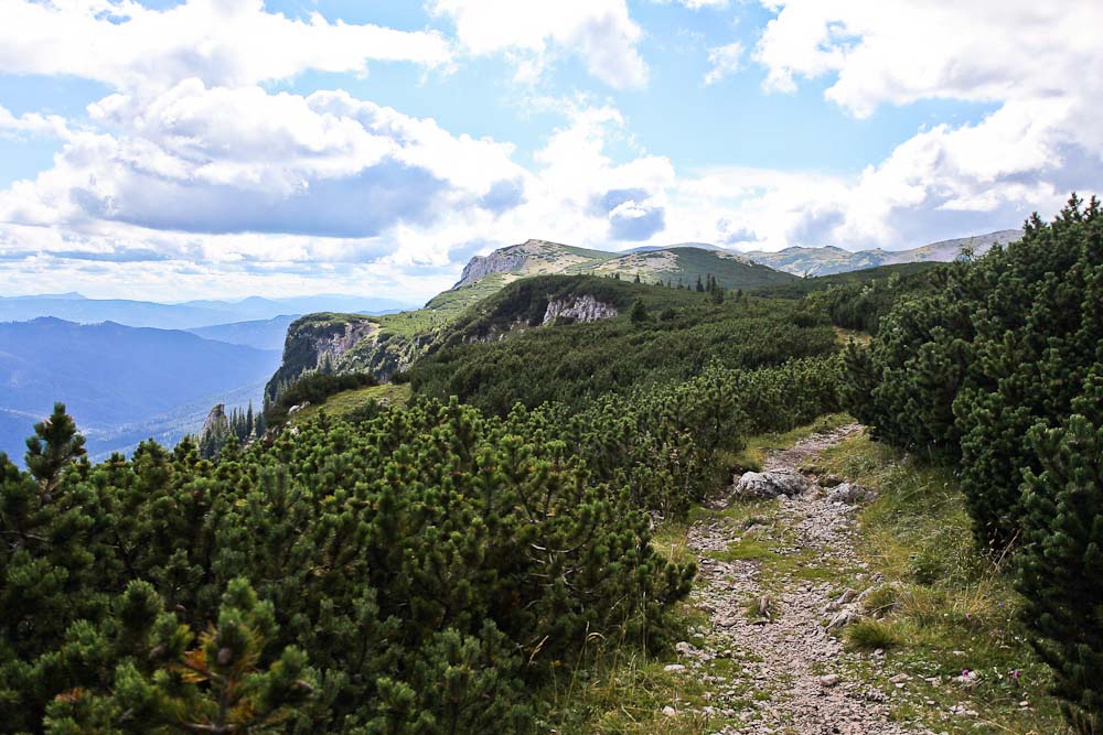 Jakobskogel Wanderung auf der Rax