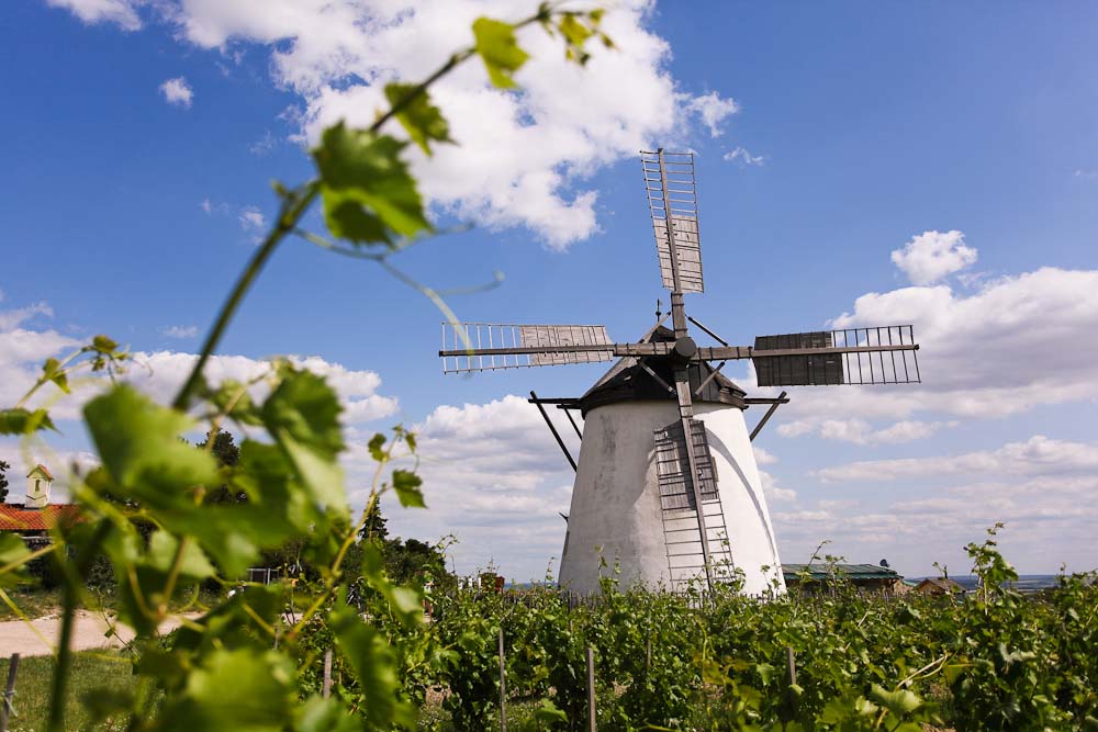 Retz Windmühle