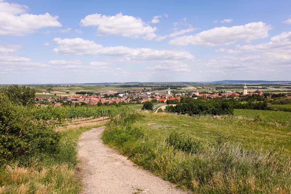 Im Retzer Land wandern zur Retzer Windmühle