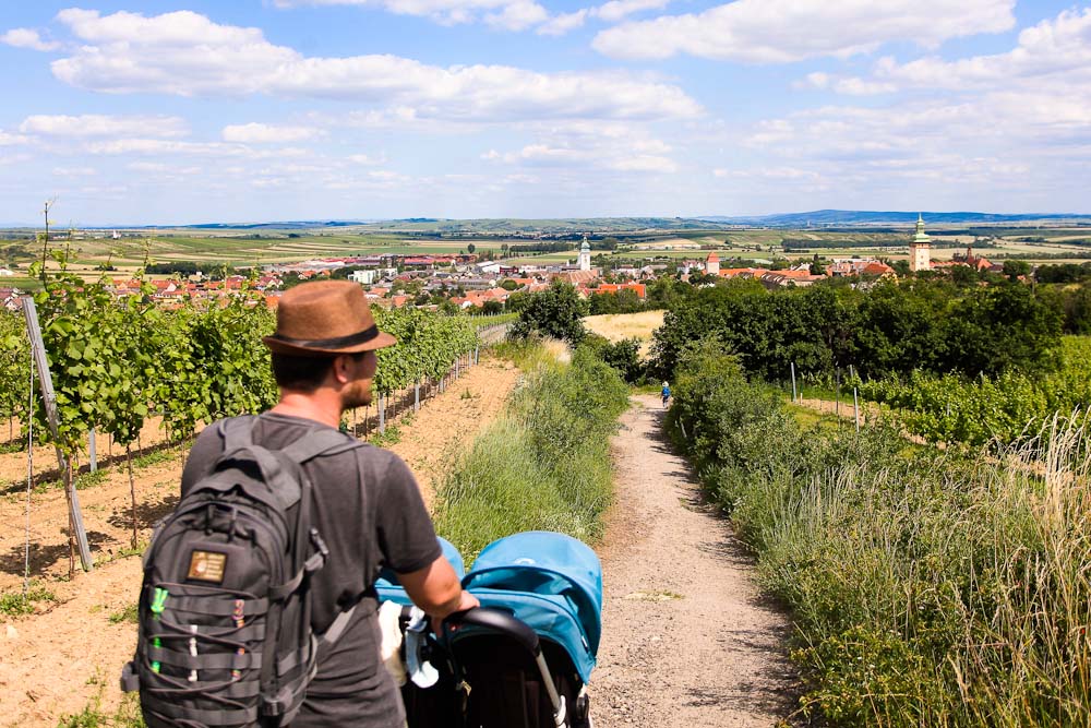 Kinderwagentaugliche Wanderung zur Retzer Windmühle