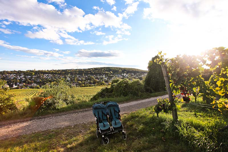 Wandern in Wien mit dem Kinderwagen