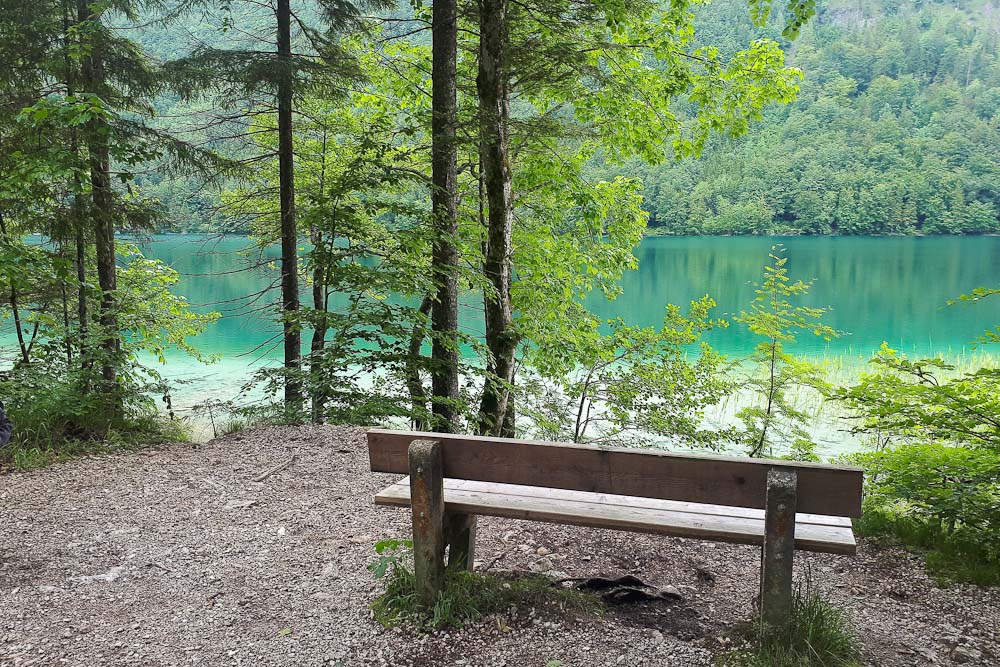 Dieses Plätzchen auf dem Langbathseen Rundweg lädt zum Verweilen ein