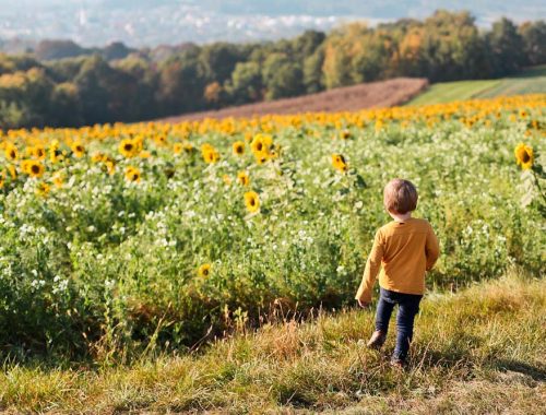 Natur Ideen für draußen mit Kindern