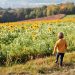 Natur Ideen für draußen mit Kindern