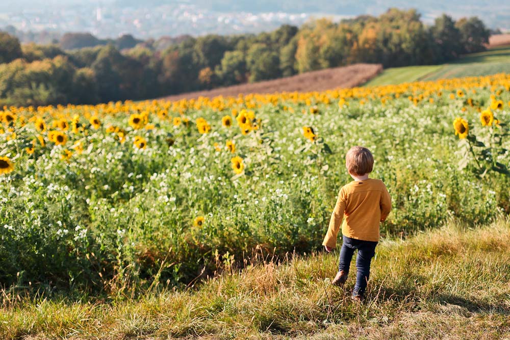 Natur Ideen für draußen mit Kindern