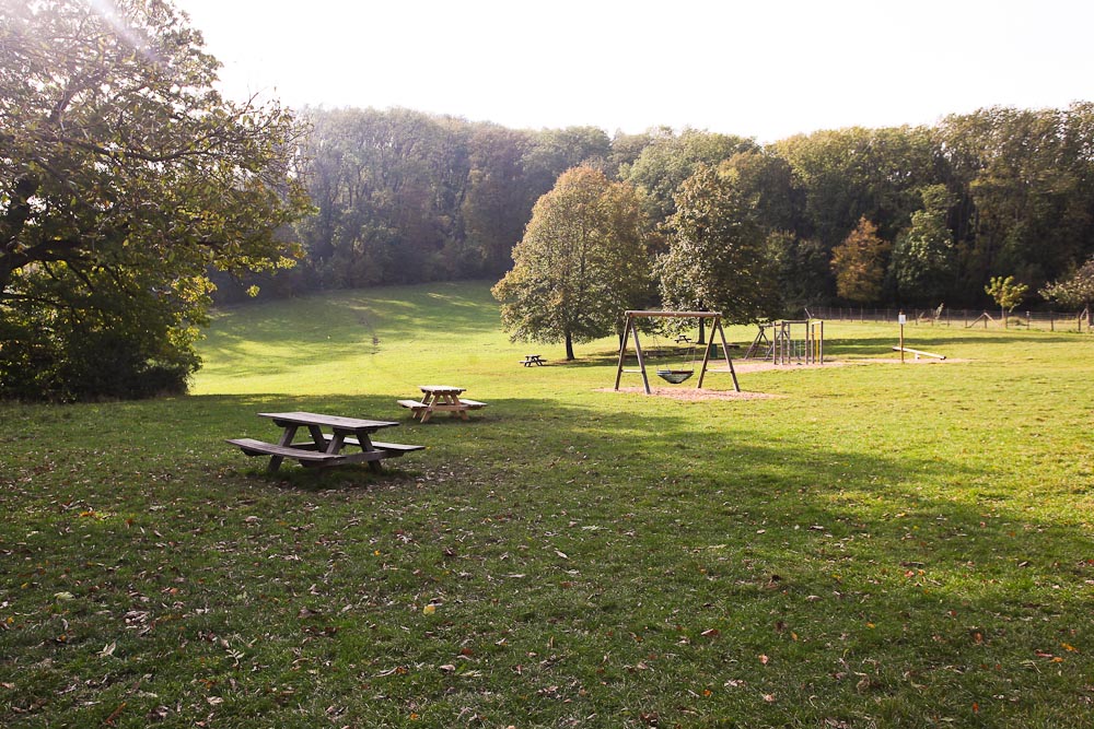 In Wien wandern: die Jägerwiese am Stadtwanderweg 2 mit Kindern