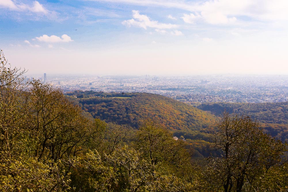 Wien-Ausblick von der Habsburgwarte: Aussicht Hermannskogel