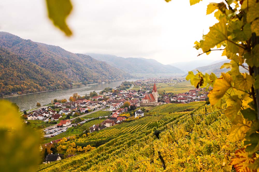 Aussicht auf Weißenkirchen in der Wachau