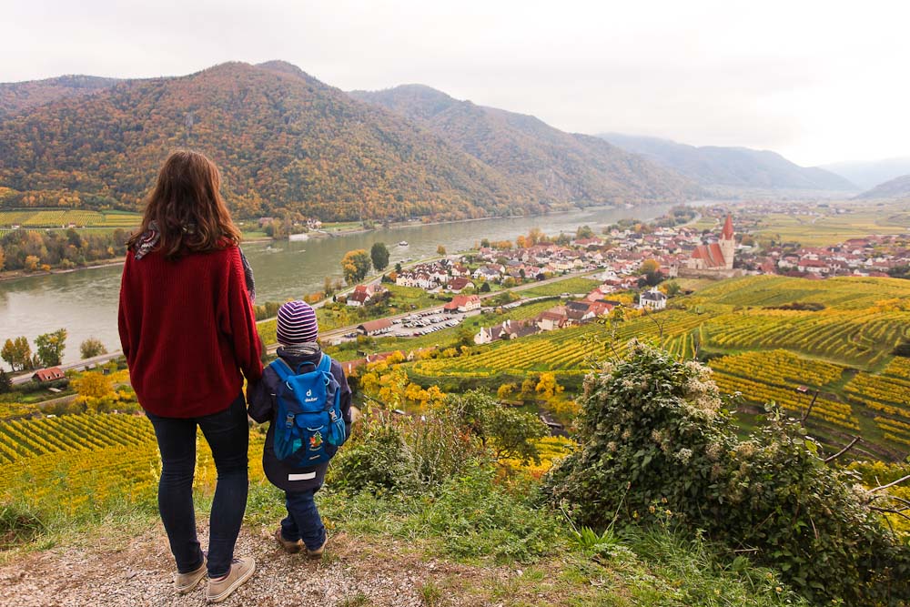 In der Wachau mit Kindern wandern am Panoramweg Achleiten