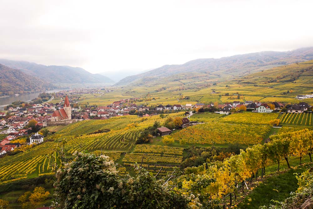 Aussicht in die Landschaft der Wachau