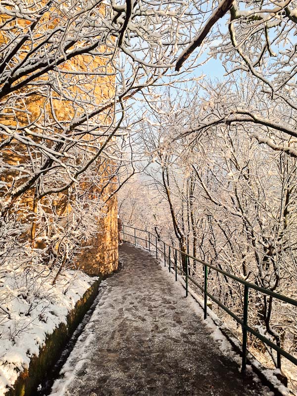 Leopoldsberg im Winter