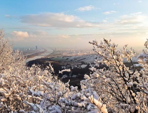 Aussicht vom Leopoldsberg am Stadtwanderweg 1a