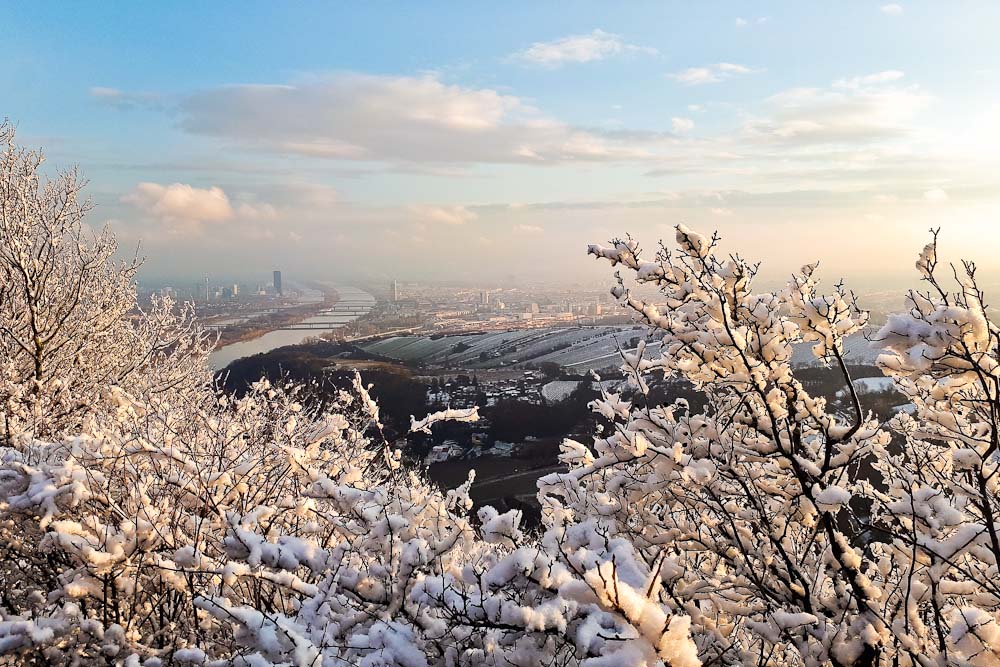 Aussicht vom Leopoldsberg am Stadtwanderweg 1a