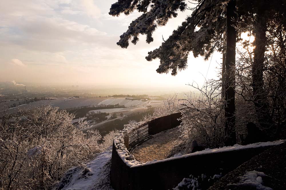 Stadtwanderweg 1a: Aussicht vom Leopoldsberg
