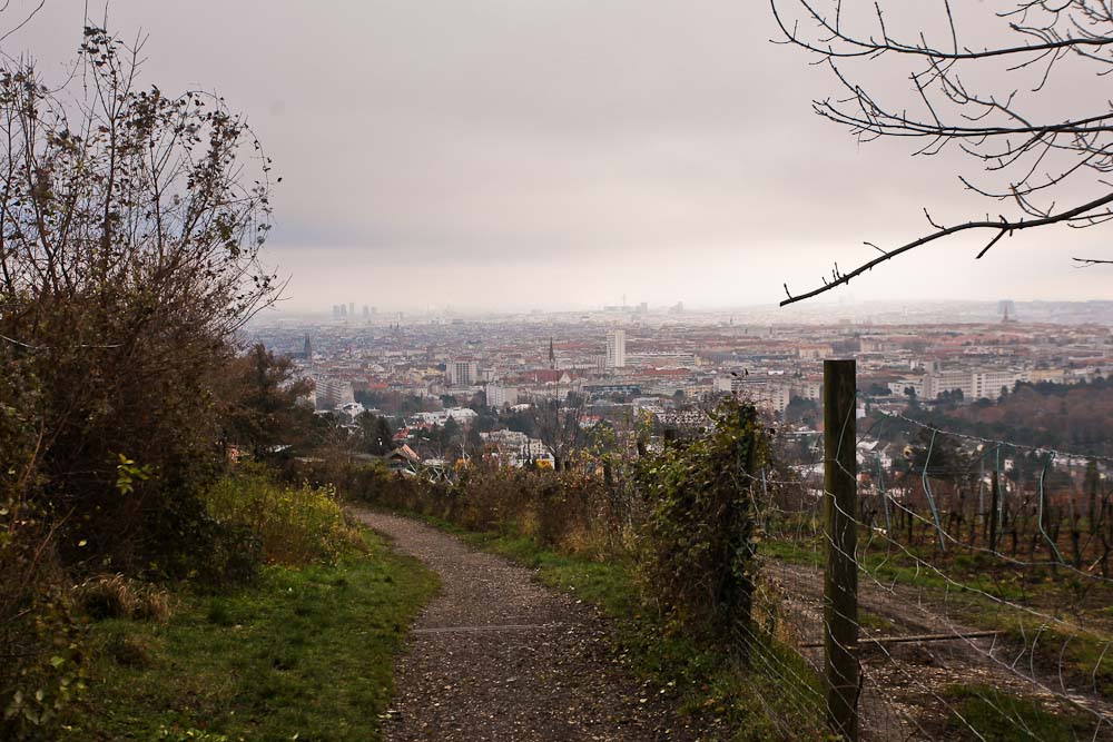 Stadtwanderweg 4a: Aussicht beim Schloss Wilhelminenberg