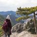 Wienerwald Wanderungen: Rund um Mödling wandern