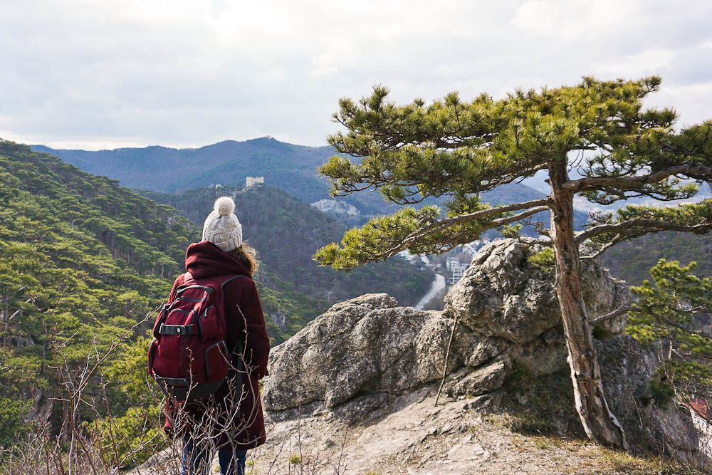 Wienerwald Wanderungen: Rund um Mödling wandern