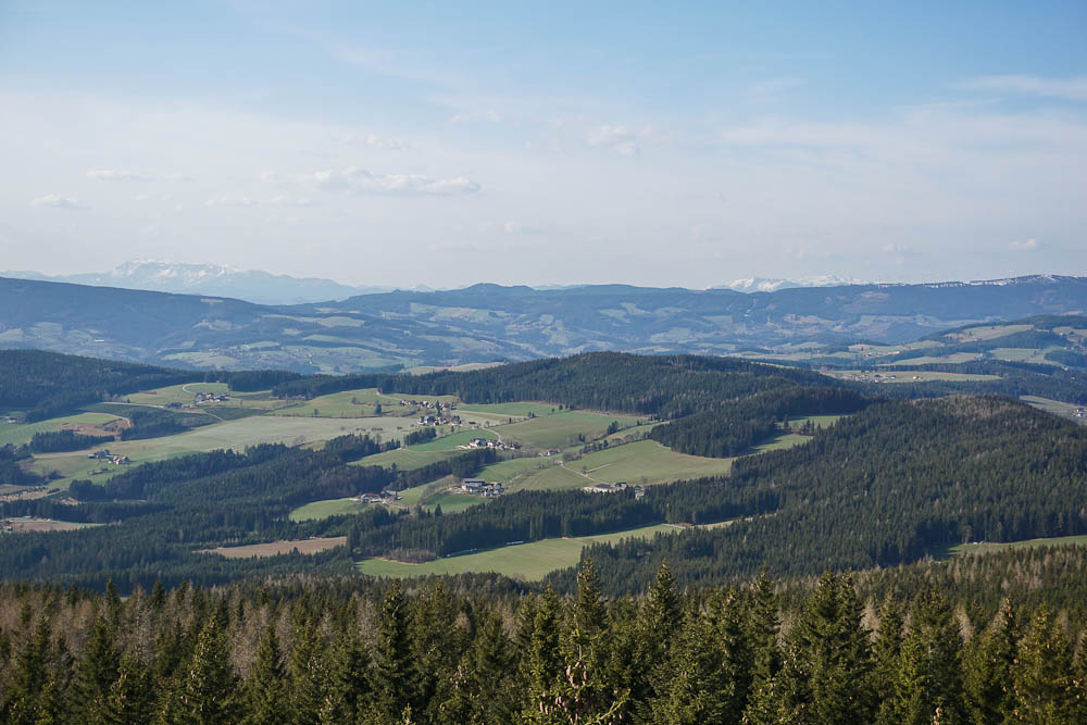 Ausblick von der Aussichtswarte Wildwiese