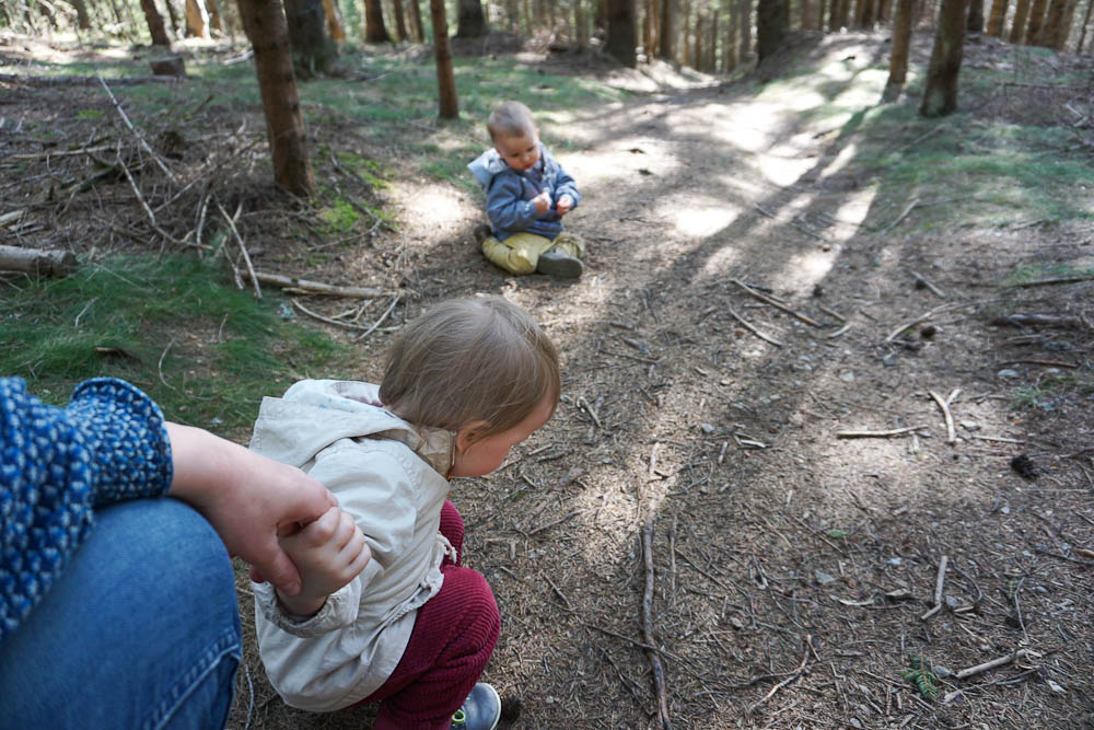 Mondweg Wildwiese mit Kindern wandern
