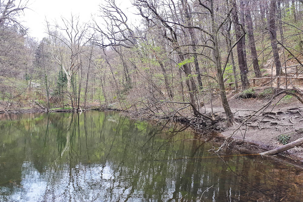 Am Wiener Stadtwanderweg 4: Silbersee