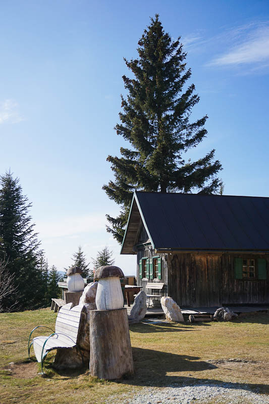 Wildwiese Wanderung
